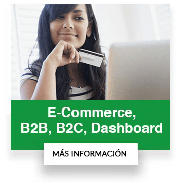 portales b2b b2c ecommerce